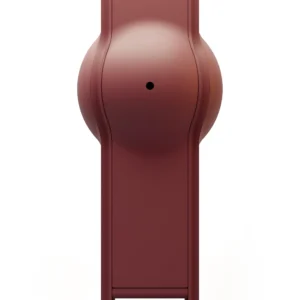 Belly - Image 6