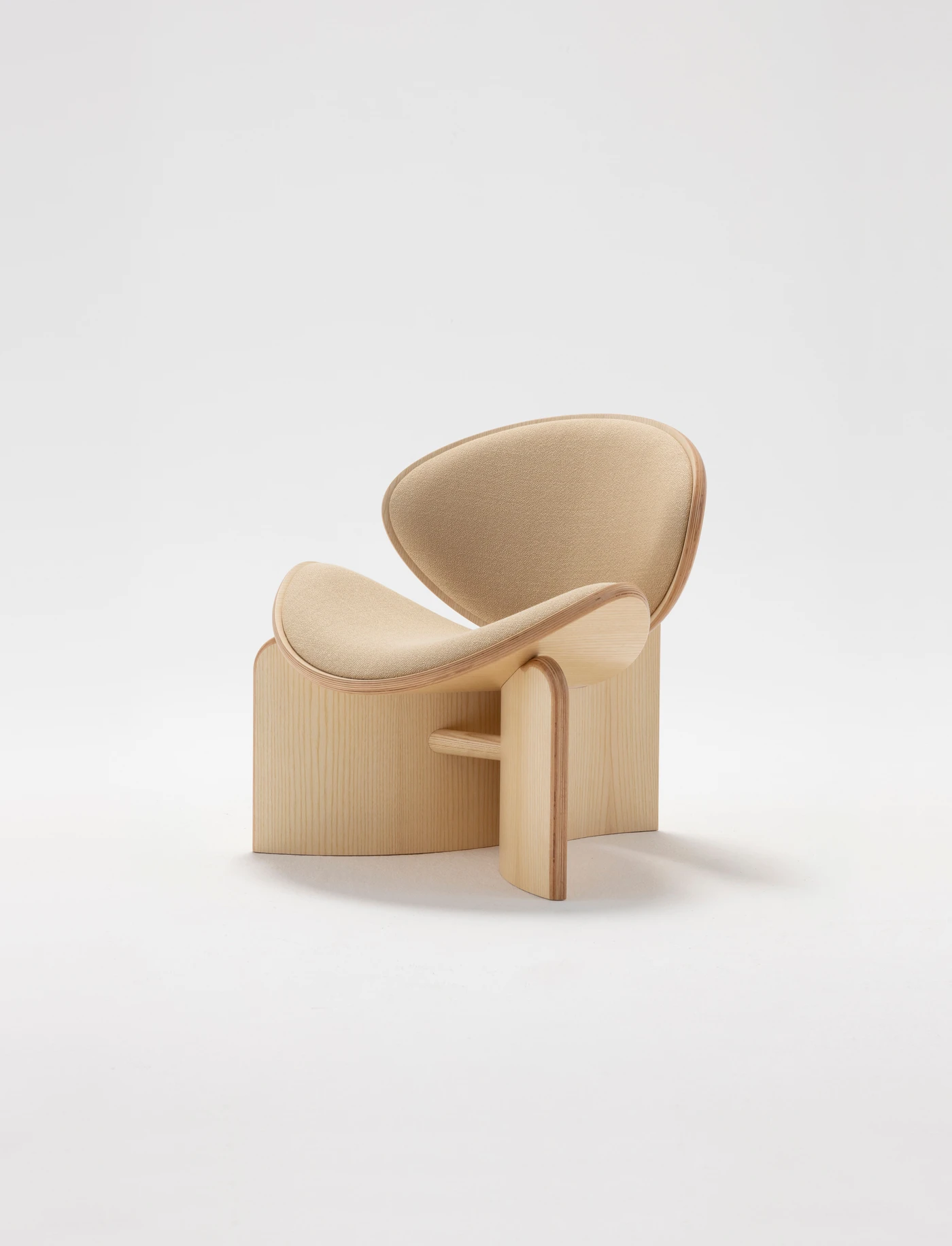 Guscio - Image 2