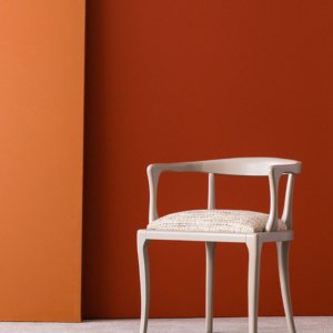 Voluta - Image 3